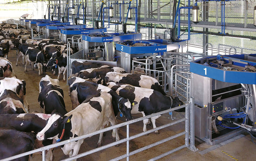 DeLaval VMS™ batch milking system a different perspective of